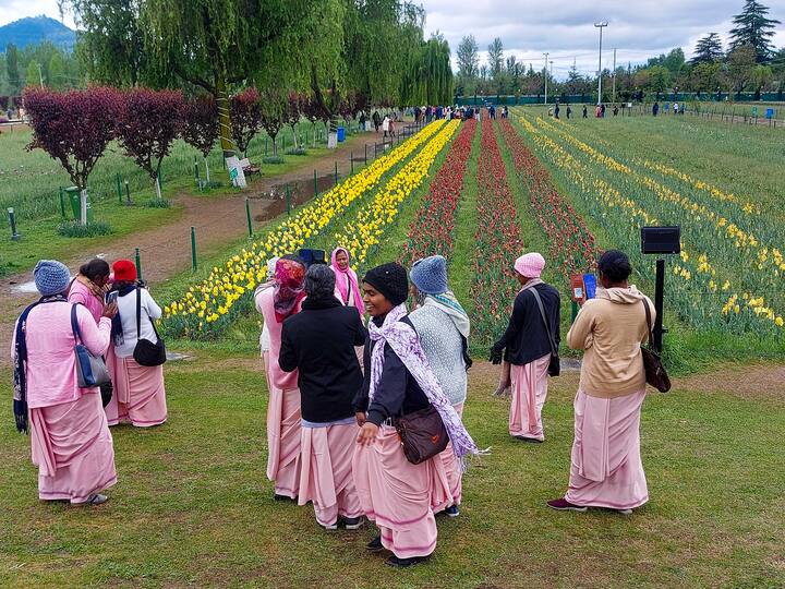 ट्युलिप गार्डन जबरवन पर्वत रांगाच्या पायथ्याशी स्थित असून आशियातील सर्वात मोठं ट्युलिप गार्डन आहे.