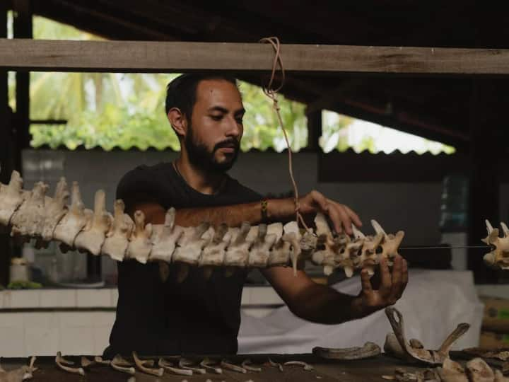 Fewest Bones Creatures: शरीर में हड्डियों का बहुत महत्वपूर्ण रोल होता है. ये शरीर को आकार प्रदान करती हैं और गति करने में मदद करती हैं. क्या आप जानते हैं किस जीव में सबसे कम हड्डियां पाई जाती हैं?