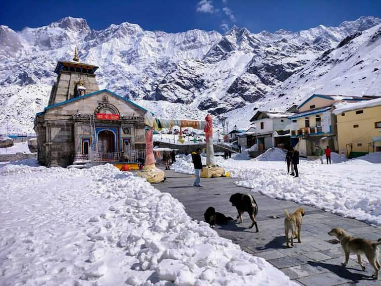 Uttarakhand Govt Issues Alert For Kedarnath Dham Yatra Pilgrims In View Of Rain And Snowfall Pushkar Singh Dhami Kedarnath Dham Yatra: Uttarakhand Govt Issues Alert For Pilgrims In View Of Rain And Snowfall