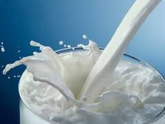 ਦੁੱਧ ਦਾ ਰੰਗ ਚਿੱਟਾ ਹੀ ਕਿਉਂ ਹੁੰਦਾ ਹੈ?...ਲਾਲ ਜਾਂ ਹਰਾ ਕਿਉਂ ਨਹੀਂ? ਜਾਣੋ ਇਸ ਦੇ ਪਿੱਛੇ ਦਾ ਸਾਈਂਸ