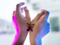 Same Sex Marriage In World: दुनिया के कई देशों में भारत से पहले लागू किए जा चुके हैं समलैंगिक विवाह से जुड़े कानून, देखें तस्वीरों में