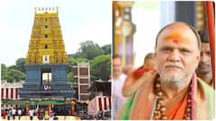 Swaroopananda On Chandanotsavam Arrangements: దర్శనానికి ఎందుకు వచ్చానా అనిపిస్తోంది