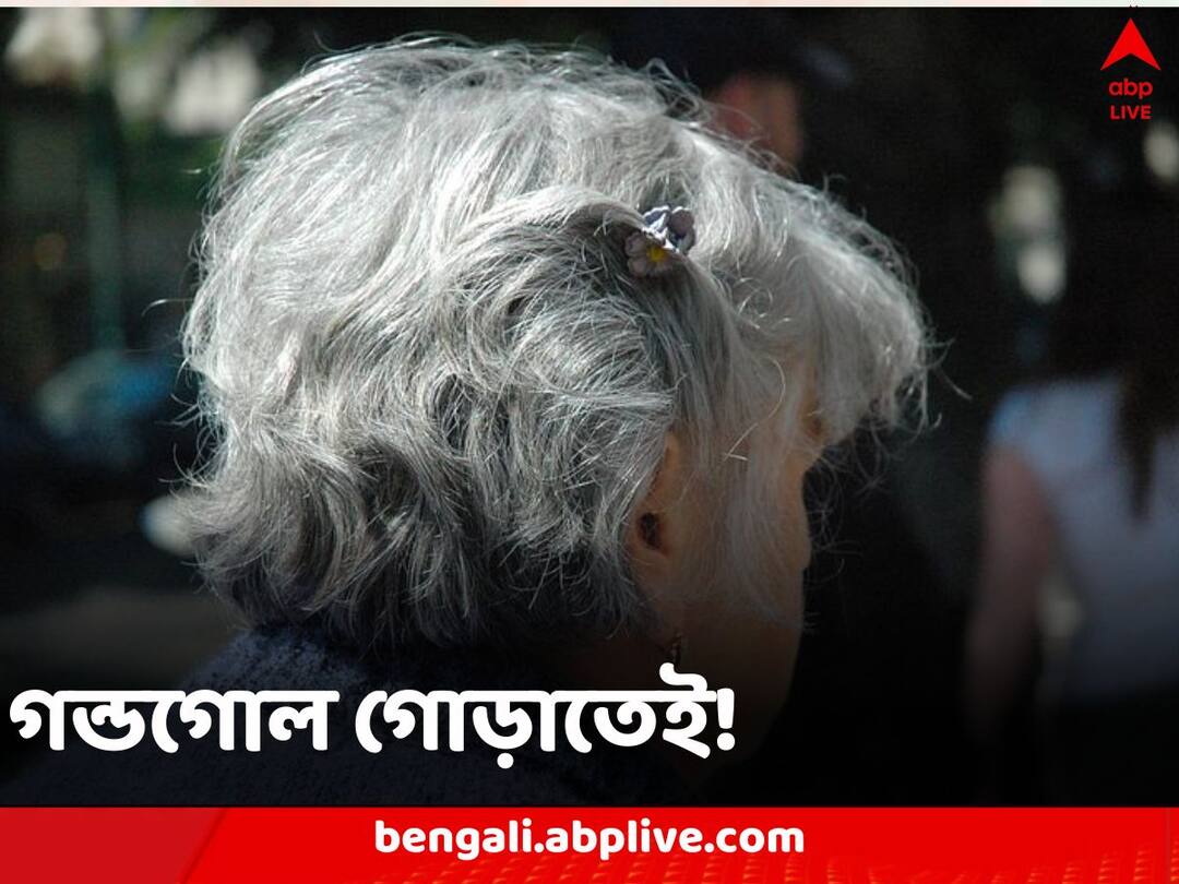 Grey Hair: কেন পাক ধরে চুলে, দু’বছর ধরে গবেষণা, এতদিনে জানা গেল কারণ Why hair turns grey scientists reportedly have discovered the reason Grey Hair: কেন পাক ধরে চুলে, দু’বছর ধরে গবেষণা, এতদিনে জানা গেল কারণ