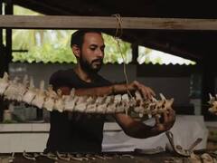 ਸਭ ਤੋਂ ਘੱਟ ਹੱਡੀਆਂ ਵਾਲੇ ਜੀਵ, ਕਦੇ-ਕਦੇ ਤਾਂ ਇਹ ਆਪਣੇ ਦੰਦ ਵੀ ਖਾ ਲੈਂਦੇ ਹਨ, ਵੇਖੋ ਤਸਵੀਰਾਂ