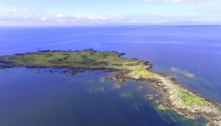 Beautiful Island In Scotland Is On Sale For 1.5 Crore Viral News:দেড় কোটি টাকায় বিক্রি হতে চলেছে স্কটল্যান্ডের দ্বীপ