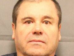 बाघों को जिंदा खिलाना... घावों पर तीखी मिर्च रगड़ना... ड्रग कार्टेल के टॉर्चर करने के तरीकों को जान कांप जाएगी रूह