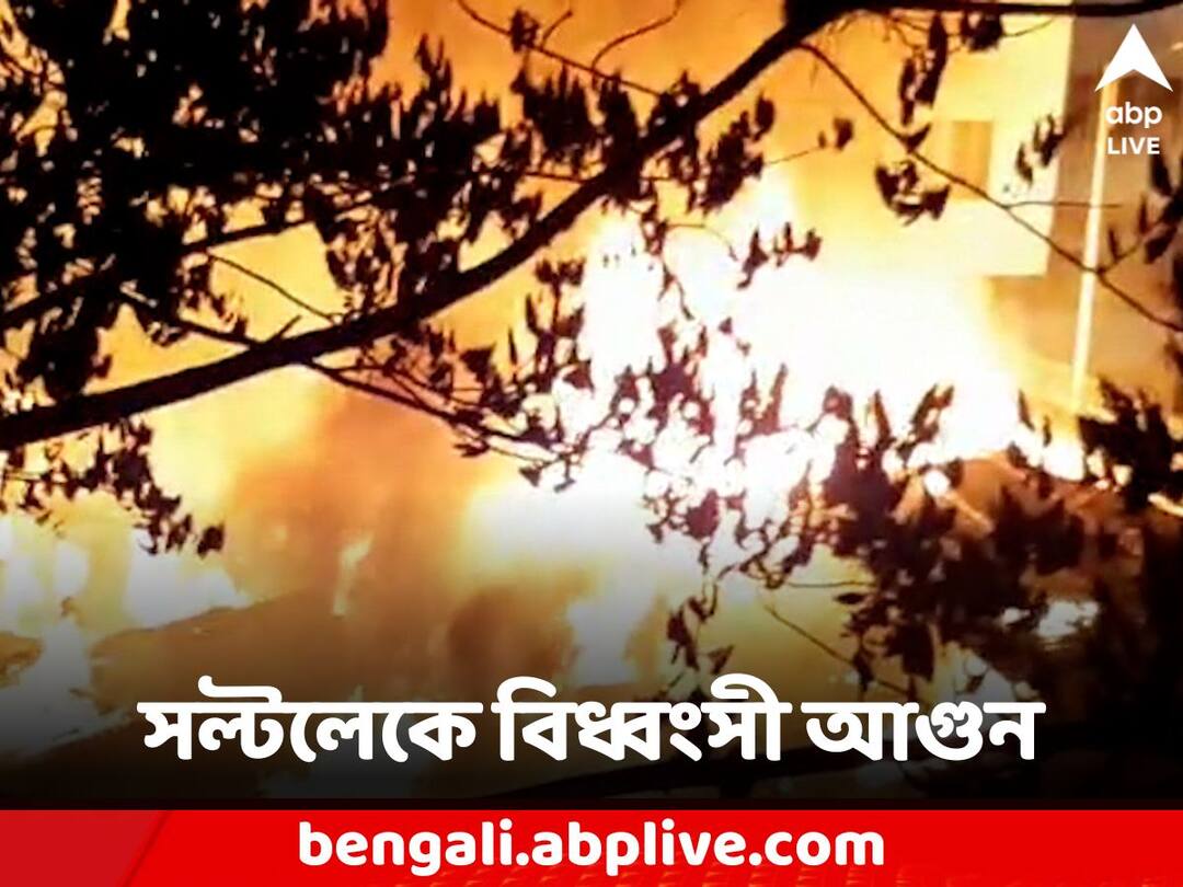 Saltlake Devastating fire breaks local residents intense fear on sudden explosion Saltlake Fire: সল্টলেকে বিধ্বংসী আগুন, মুহূ্র্মুহু বিস্ফোরণের শব্দে তীব্র আতঙ্কে এলাকাবাসীরা