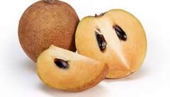 Chickoo Benefits:ઇન્સ્ટન્ટ એનર્જી આપતું આ ફળ છે ગુણોનો ભંડાર, ગરમીમાં ચીકુના સેવનથી થાય છે આ ગજબ ફાયદા