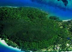 लंदन के पास बिकने को तैयार है यह प्राइवेट आइलैंड, कीमत जान नहीं होगा आपको यकीन