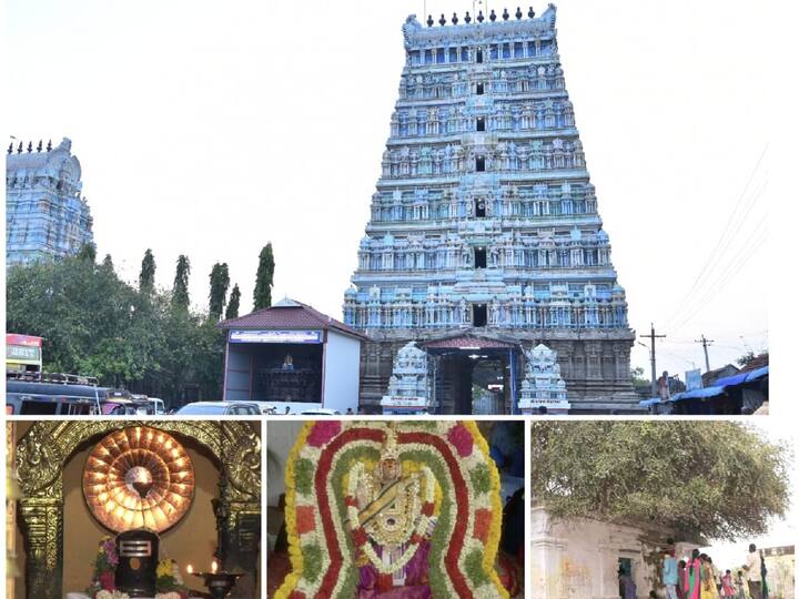 Do you know which is the first Shiva temple in the world? Mangalanathar Swamy temple located in Uttaragosamangai முதல் சிவன் ஆலயம்  எது? உத்திரகோசமங்கையில் அமைந்துள்ள மங்களநாதர் சுவாமி திருக்கோவில் சிறப்புகள் என்ன?