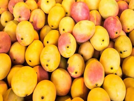 Kitchen Hacks: With this trick, you will know immediately whether the mango is sweet or sour? Kitchen Hacks: આ ટ્રીકથી તમને તરત જ ખબર પડી જશે કે કેરી મીઠી છે કે ખાટી?