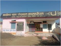 एमपी में जारी सरंपच पति का 'खेल', पत्नियों के चुनाव जीतते ही संभाल लेते हैं उनकी कुर्सी