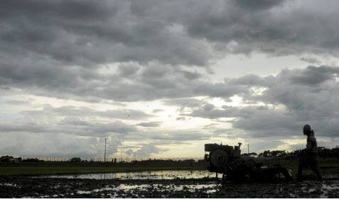राज्यातील वातावरणात सातत्यानं बदल (Climate change) होत आहे. कुठे उन्हाचा तडाका तर कुठे अवकाळी पाऊस (unseasonal rain) पडत आहे.