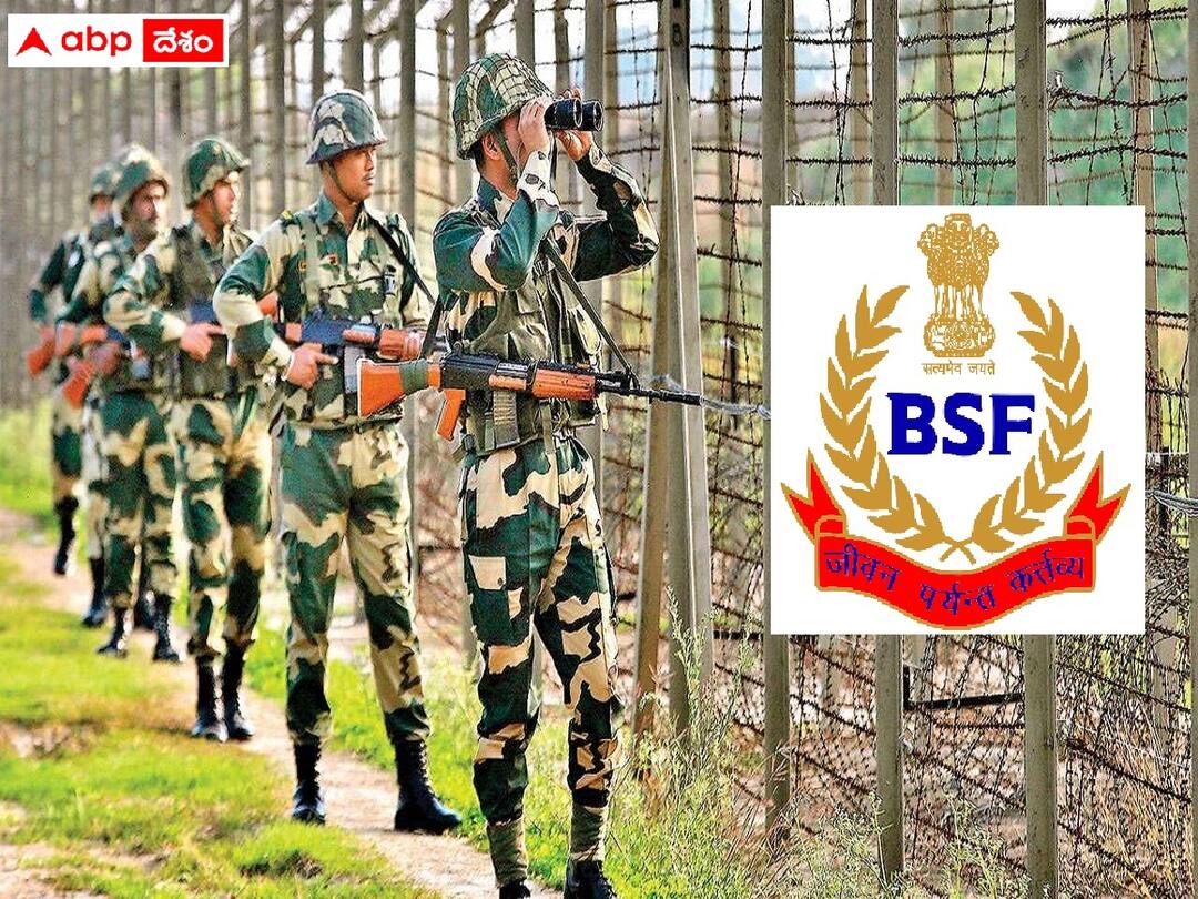BSF: బీఎస్ఎఫ్లో 247 హెడ్ కానిస్టేబుల్ పోస్టులు- వివరాలు ఇలా! BSF has released notification for the recruitment of Head Constable posts BSF: బీఎస్ఎఫ్లో 247 హెడ్ కానిస్టేబుల్ పోస్టులు- వివరాలు ఇలా!