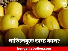একটুকরো পাতিলেবুতে ফিরবে ভাগ্য, মিটবে অর্থনৈতিক সমস্যা