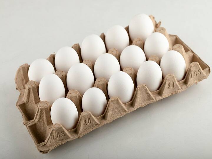egg production Uttar Pradesh government has changed the rules of egg storage Egg Storage Rules: उत्तर प्रदेश में अंडा स्टोरेज करने के नियमों में बड़ा बदलाव, अब सरकार ने उठाये ये कदम