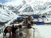 Kedarnath Yatra 2023: केदारनाथ में नहीं रुक रहा बर्फबारी का सिलसिला, यात्रा की व्यवस्थाएं करने में परेशानी, यात्रियों से की गई ये अपील