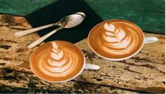 ਕੀ ਗਰਮੀਆਂ ਵਿੱਚ ਕੌਫੀ ਪੀਣਾ ਖਤਰਨਾਕ !  ਸਿਹਤ 'ਤੇ ਪੈਂਦਾ ਹੈ ਬੁਰਾ ਪ੍ਰਭਾਵ ? ਜਾਣੋ ਕੀ ਕਹਿੰਦੇ ਹਨ ਮਾਹਿਰ