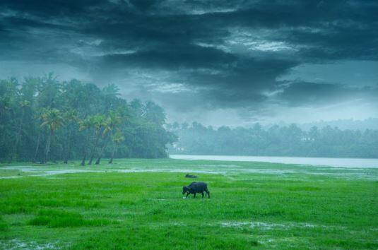 बदलत्या वातावरणाचा शेती पिकांना (agricultural crops) फटका बसत आहे.