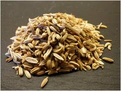 సోంపు గింజలు తీసుకుంటే బరువు తగ్గుతారా? వాటిని ఏ రూపంలో తీసుకుంటే మంచిది