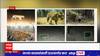 Chandrapur : जंगली प्राण्यांपासून सावध करणारा अलार्म Special Report