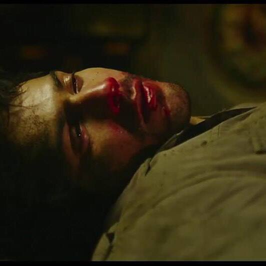 बदलापुर में वरुण धवन की बेहतरीन एक्टिंग सभी को स्तब्ध कर दिया था. उन्होंने इस फिल्म में एक ऐसे एक्टर का रोल प्ले किया था जिसे सिर्फ अपने साथ हुए हादसे का बदला लेना है.