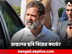 রাহুলের ছবি বিয়ের কার্ডে? সাত পাকে বাঁধা পড়তে চলেছেন সনিয়া-পুত্র?