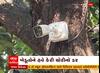 Valsad: વલસાડમાં ખેડૂતે પોતાની આંબાવાડીની રખેવાળી માટે લગાવ્યા CCTV કેમેરા
