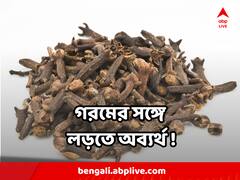 Clove In Summer : গরমে প্রাণ ওষ্ঠাগত? নানা সমস্যায় জেরবার ? মুশকিল আসান করবে লবঙ্গ !