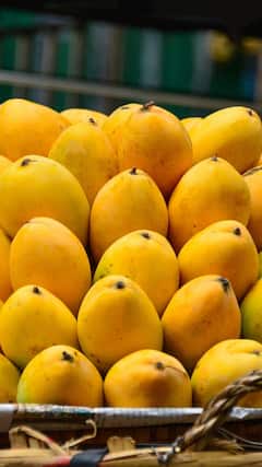 Mango Buying Tips: કેરી ખરીદતી વખતે આ રીતે કરો ચકાસણી મીઠી છે કે ખાટી? કાપ્યા બાદ ક્યારેય નહિ થાય કડવો અનુભવ