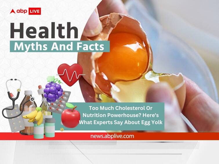 Health Myths And Facts: Too Much Cholesterol Or Nutrition Powerhouse Here Is What Experts Say About Egg Yolk Health Myths And Facts: Too Much Cholesterol Or Nutrition Powerhouse? Here's What Experts Say About Egg Yolk