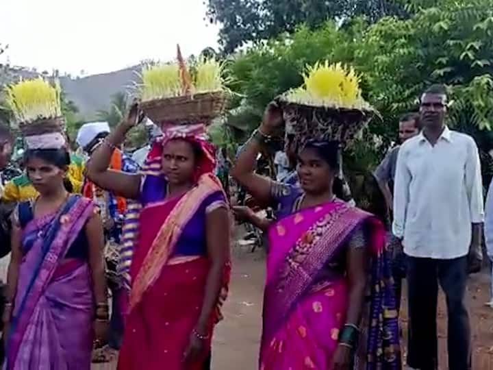 Nashik Akhati Gauri : नाशकातल्या आखाती गौरींचा उत्सव शेतकऱ्यांचा पारंपारिक उत्सव आहे. नाशकातल्या सुरगाण्यात आखाती गौराई साजरी करण्याची परंपरा आहे.