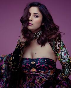 Shehnaaz Gill के 'गॉड फादर' हैं सलमान खान, सुपरस्टार ने सक्सेस दिलाने में ऐसे की एक्ट्रेस की मदद