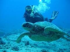 Scuba Diving: 'स्कूबा डाइविंग' का लेना है फुल एक्सपीरियंस, तो इन 4 जगहों को अपनी ट्रैवल लिस्ट में तुरंत कर लें शामिल