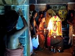 திருஞானசம்பந்தருக்கு அம்பாள் ஞானப்பால் வழங்கிய ஐதீக விழா.. சீர்காழியில் கோலாகலம்