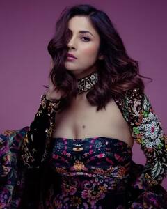 Shehnaaz Gill : શહનાઝ ગિલનો 'ગોડ ફાધર' છે સલમાન, આ રીતે કરી હતી મદદ