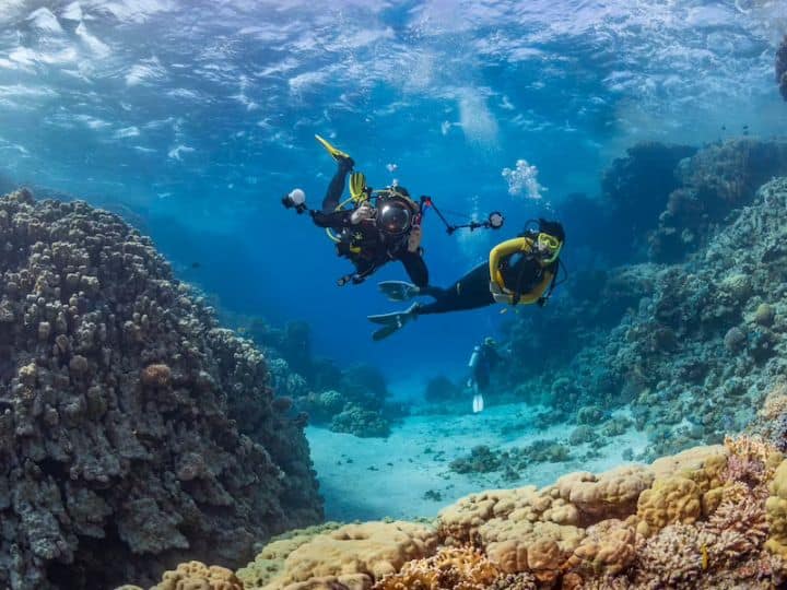 Scuba Diving In India: समुद्र में रहने वाले जीवों की जिंदगी को नजदीक से देखने के शौकीन लोगों के लिए स्कूबा डाइविंग से बेहतर और शानदार तरीका और कोई नहीं है.