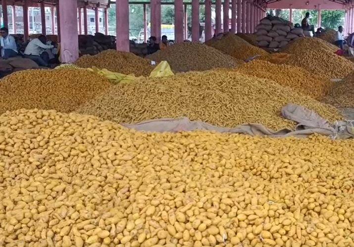 दरवर्षी राज्यभरातून मोठ्या प्रमाणात शेतकरी (Farmers) हळदीची विक्री करण्यासाठी हिंगोलीच्या कृषी उत्पन्न बाजार समितीत येत असतात.
