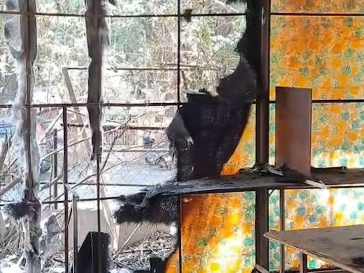 त्यामुळे अशा आगीच्या घटनांमध्ये मोठ्या प्रमाणात नुकसान होत असल्याचा आरोप कानसई परिसरातील स्थानिक रहिवासी आणि भाजपचे पदाधिकारी संजय आदक यांनी केला आहे.