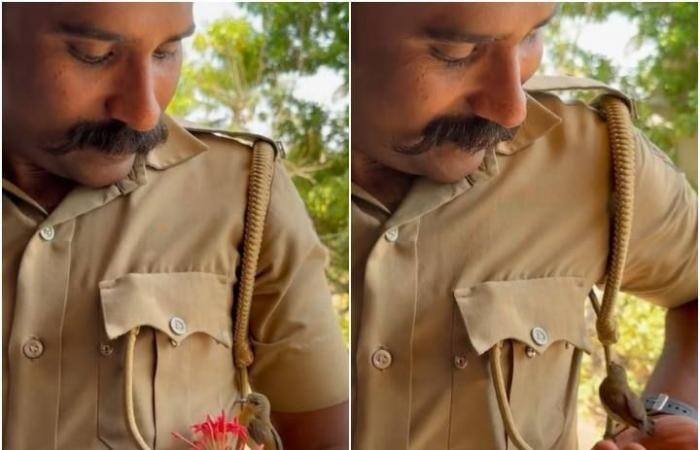 A Bird Was Seen Sitting On Uniform Of A Kerala Police Officer Video: પોલીસકર્મીના યુનિફોર્મ પર આવીને બેઠું પંખી, જુઓ મજેદાર વીડિયો