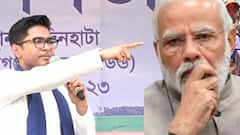 Abhishek Banerjee: '২০ লক্ষ পরিবার ১০০ দিনের কাজের টাকা পায়নি', অভিষেকের নিশানায় মোদি সরকার