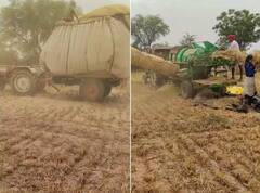 ਕਿਸਾਨ ਨੇ ਹੜੰਬੇ 'ਚ ਫਿੱਟ ਕੀਤਾ ਜੁਗਾੜ, ਕਣਕ ਦੀ ਵਾਢੀ ਦੇ ਨਾਲ-ਨਾਲ ਤੂੜੀ ਵੀ ਲੱਦਾਈ