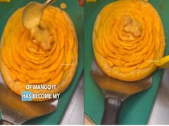 Mango Pizza: This Latest Culinary Experiment Leaves Foodies Disappointed