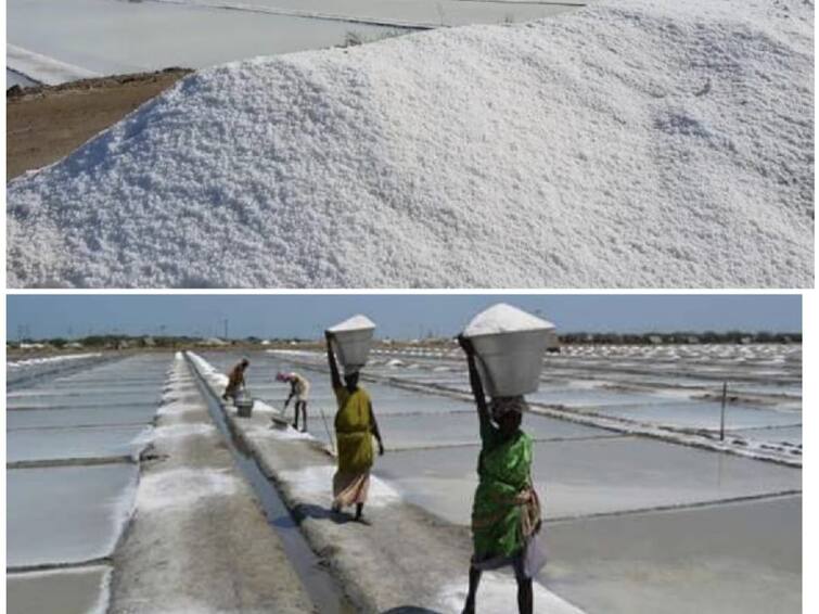 Thoothukudi Increased salt production Salt producers affected due to low prices TNN உச்சத்தில் வெயில் - அதிகரிக்கும் உப்பு உற்பத்தி - விலை குறைவால் உப்பு உற்பத்தியாளர்கள் பாதிப்பு