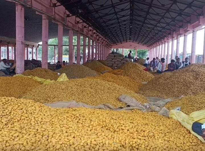 राज्यात सांगलीनंतर (sangli) सर्वात जास्त हळदीची विक्री (Sale of turmeric) ही हिंगोली (Hingoli) जिल्ह्यातील संत नामदेव मार्केट यार्डमध्ये केली जाते.