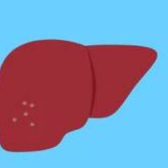 Health Tips : খাবারের তালিকায় যদি থাকে এগুলি, নষ্ট হতে পারে লিভার !