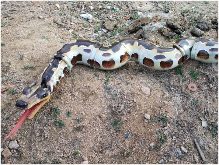 मनीष शर्मा का कहना है कि शहर के सौंदर्यीकरण का एक छोटा सा प्रयास किया है. इस काम के लिए मेहनताना बहुत कम लिया जाता है.