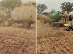 ਕਿਸਾਨ ਨੇ ਥ੍ਰੈਸਰ ਮਸ਼ੀਨ ਵਿੱਚ ਫਿੱਟ ਕੀਤਾ ਜੁਗਾੜ, ਕਣਕ ਦੇ ਨਾਲ ਤੁੜੀ ਵੀ ਕੀਤੀ ਲੋਡ, ਵੇਖੋ ਵੀਡੀਓ