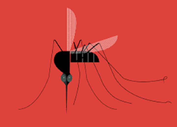 World Malaria Day 2023: Causes, Symptoms, Diagnosis and Prevention Tips World Malaria Day 2023: உலக மலேரியா தினம்.. நோய்க்கான காரணம் மற்றும் நோய்த்தடுப்பு ஆலோசனைகள்..