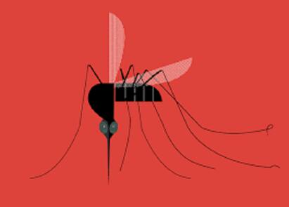World Malaria Day 2023: Causes, Symptoms, Diagnosis and Prevention Tips World Malaria Day 2023: உலக மலேரியா தினம்.. நோய்க்கான காரணம் மற்றும் நோய்த்தடுப்பு ஆலோசனைகள்..